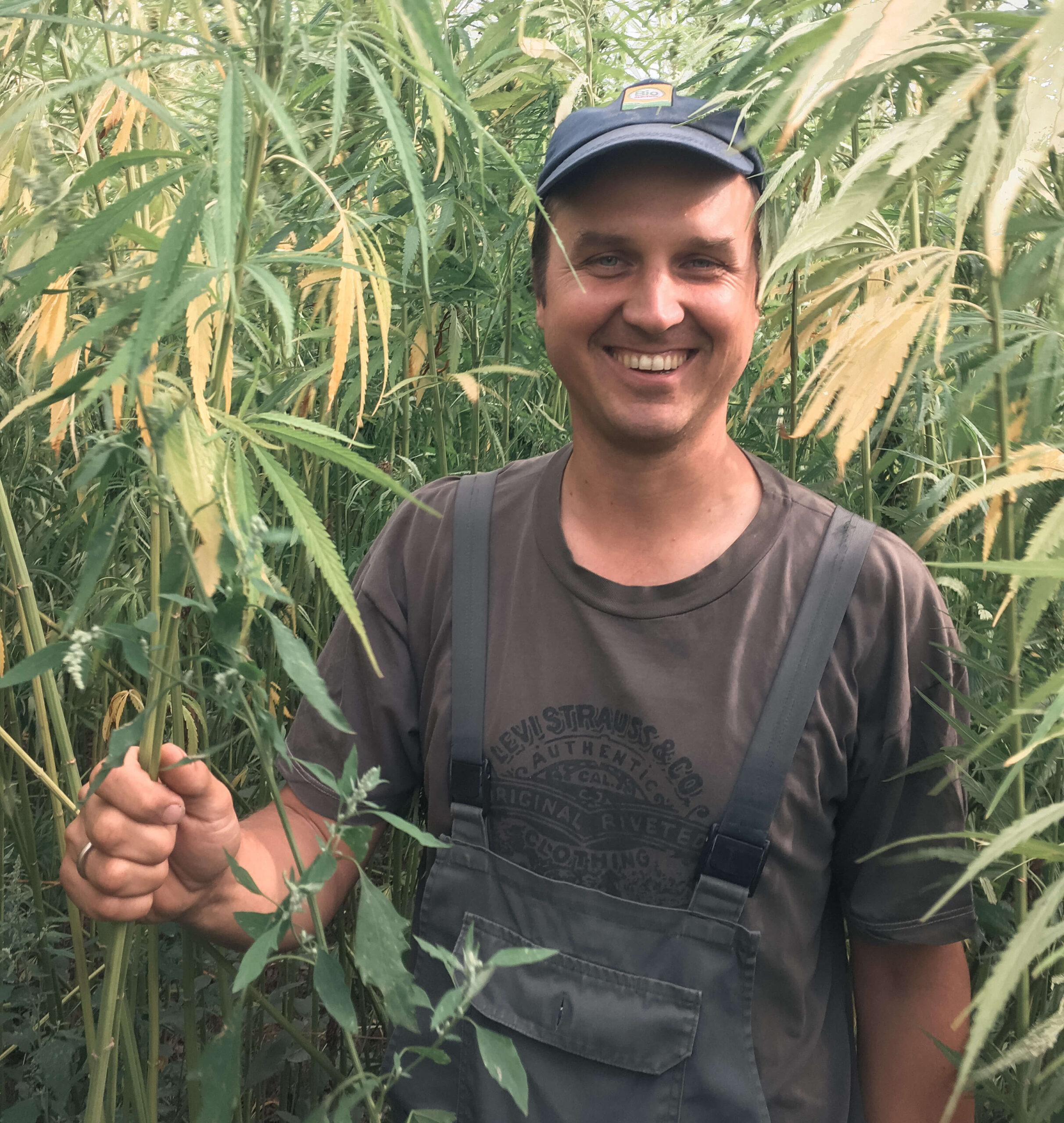 BIO-Partnerlandwirt der Schalk Mühle Wolfgang Gössinger in Mitten eines Hanffeldes