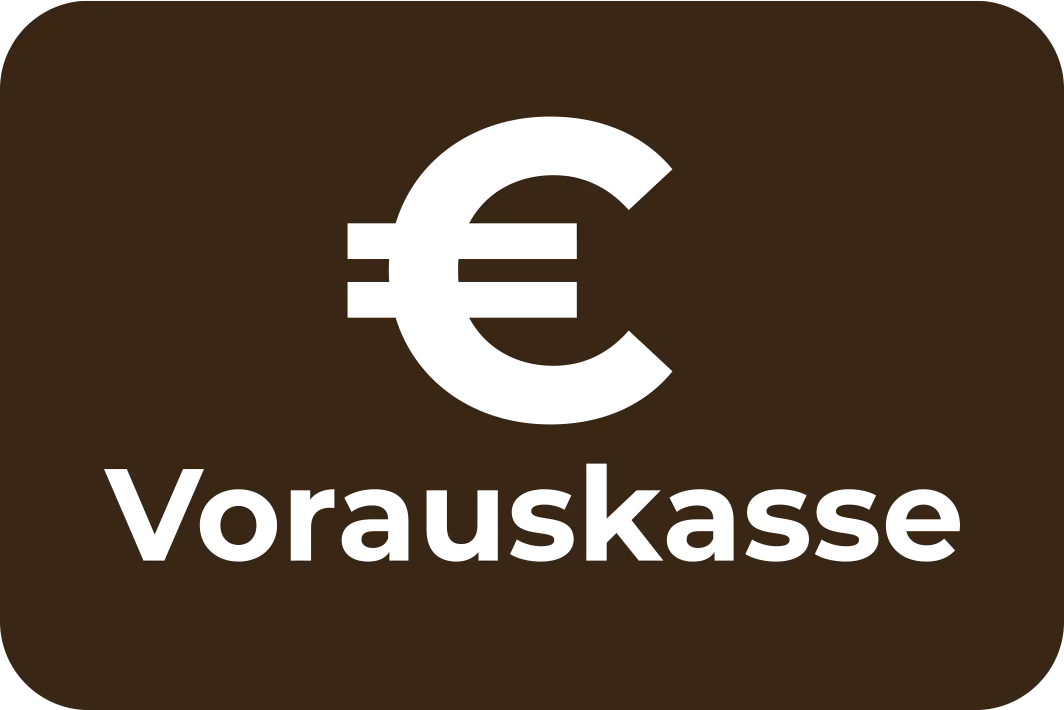 Payment Icon Prepayment with Euro Symbol
