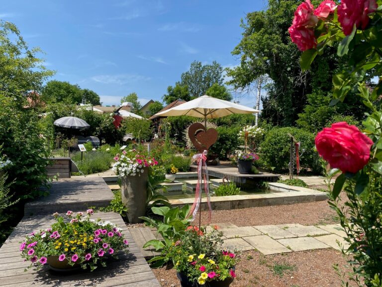Blick in den Kräutergarten Söchau mit Sitzgelegenheit.