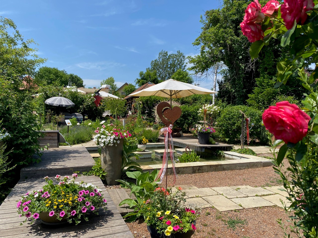 Blick in den Kräutergarten Söchau mit Sitzgelegenheit.