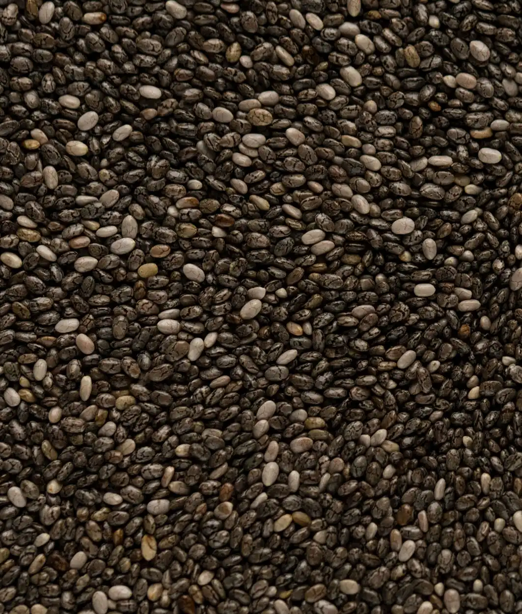 Nahaufnahme dunkler und heller Chiasamen mit marmorierter Musterung