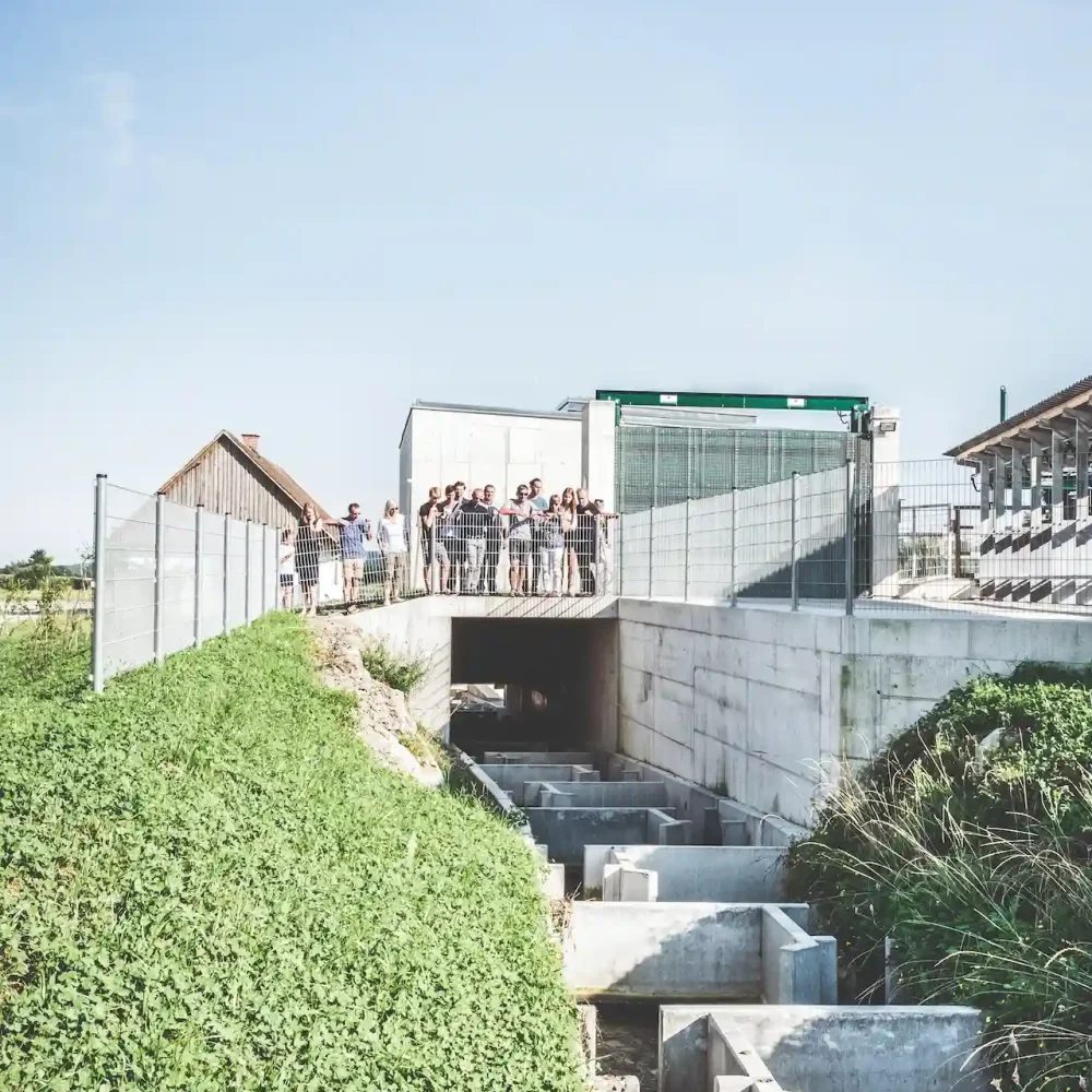 Besuchergruppe auf der Plattform über dem Fischaufstieg beim Wasserkraftwerk der Schalk Mühle