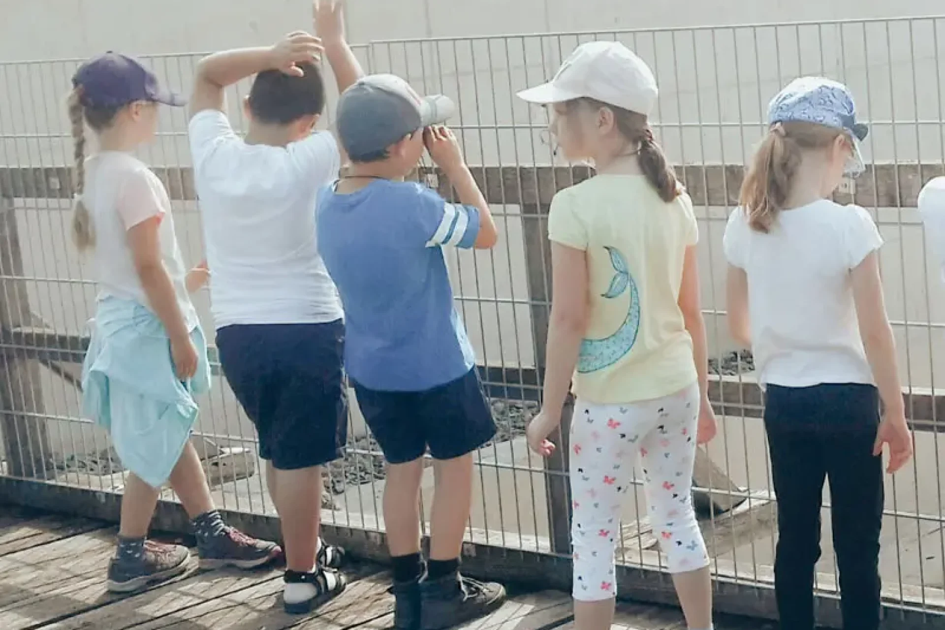Kinder beobachten bei der Mühlenrallye den Fischaufstieg durch den Zaun